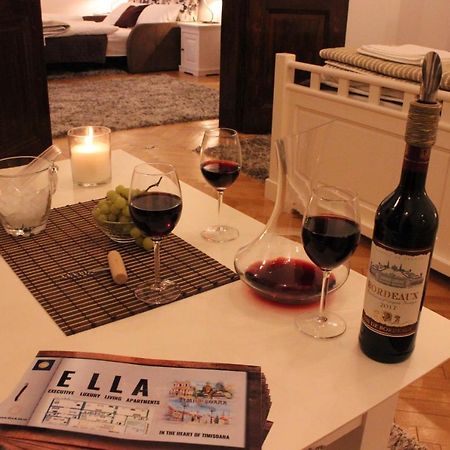 Ella Apartment Timisoara No9 Екстер'єр фото