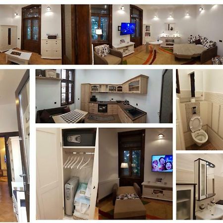 Ella Apartment Timisoara No9 Екстер'єр фото