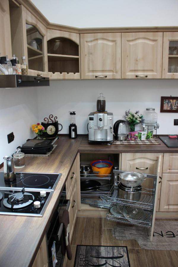 Ella Apartment Timisoara No9 Екстер'єр фото