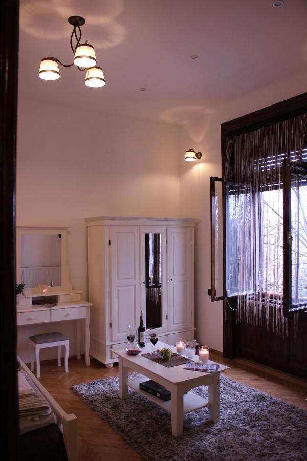 Ella Apartment Timisoara No9 Екстер'єр фото